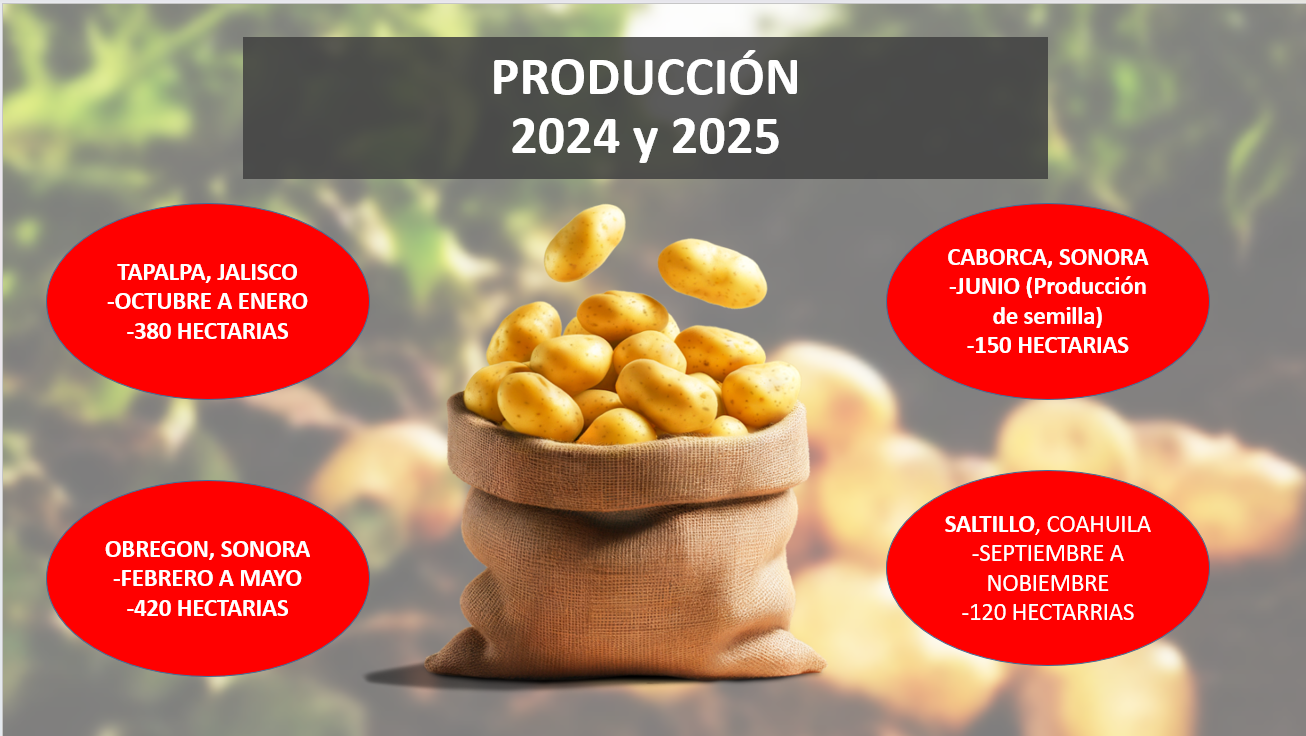 Papa - ERICK RUBIO RAMIREZ 